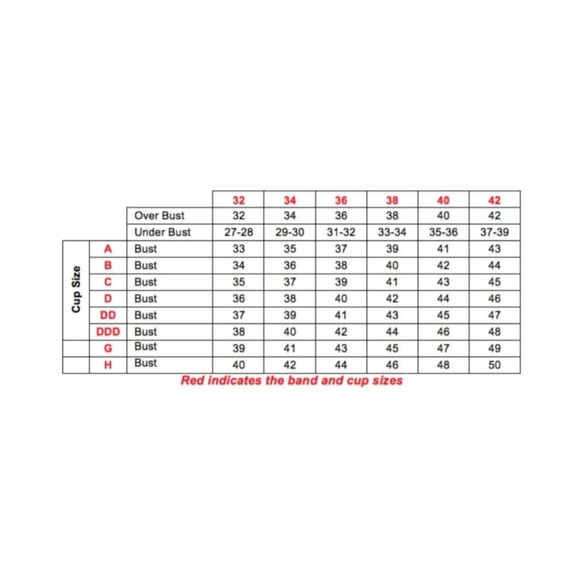 Paramour "Lissa" Contour Bra - Sz 34DD US - Picture 8 of 9